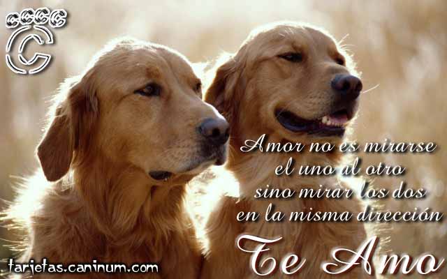 http://www.caninum.com/imagenes/tarjetas/enamorados2.jpg