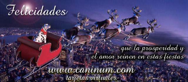 Navidad en Caninum - Esta imagen puede tardar hasta un minuto en bajarse de internet